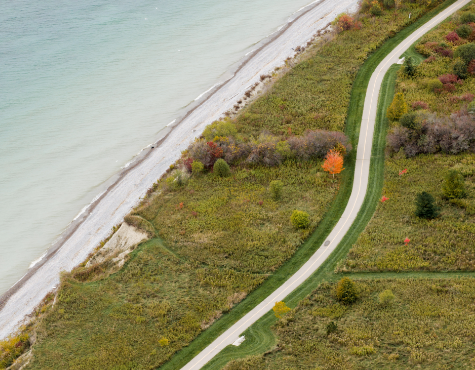 Neighbourhood-Image+12-475x370